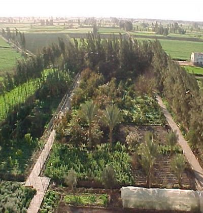 Egyptian Garden Egyptian Garden
