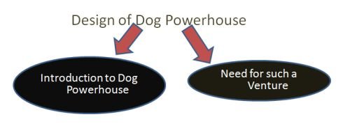 Design of a Dog Powerhouse